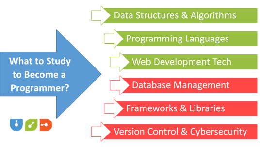 A Comprehensive Guide on How to Become a Coder In 2024 4 What to Study to Become a Programmer?