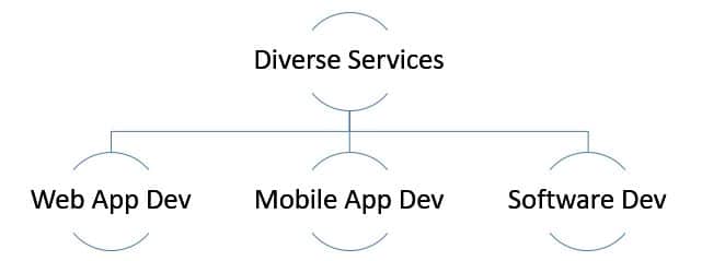 Custom Application Development Services