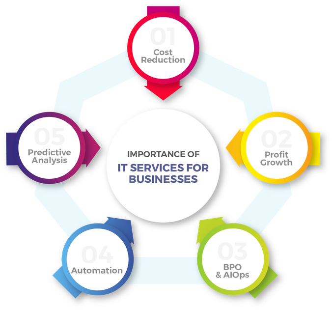 Consult with IT Consultants or Experts